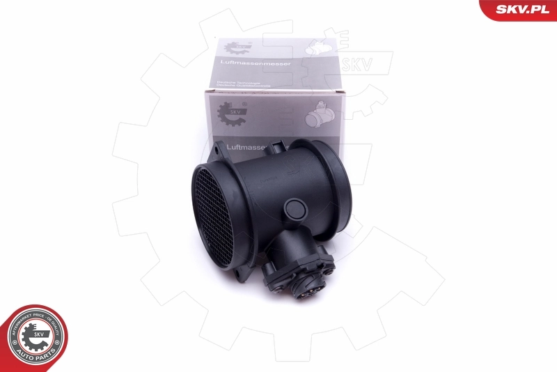 Mass Air Flow Sensor